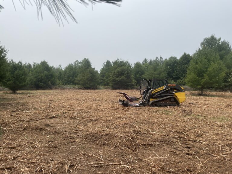 holts land services logo