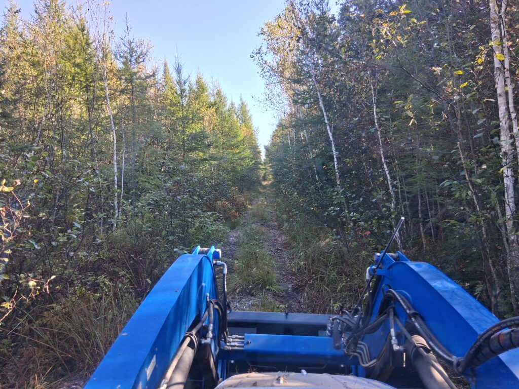trail brushing oct25
