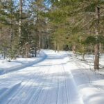 Home trail report1.26.2