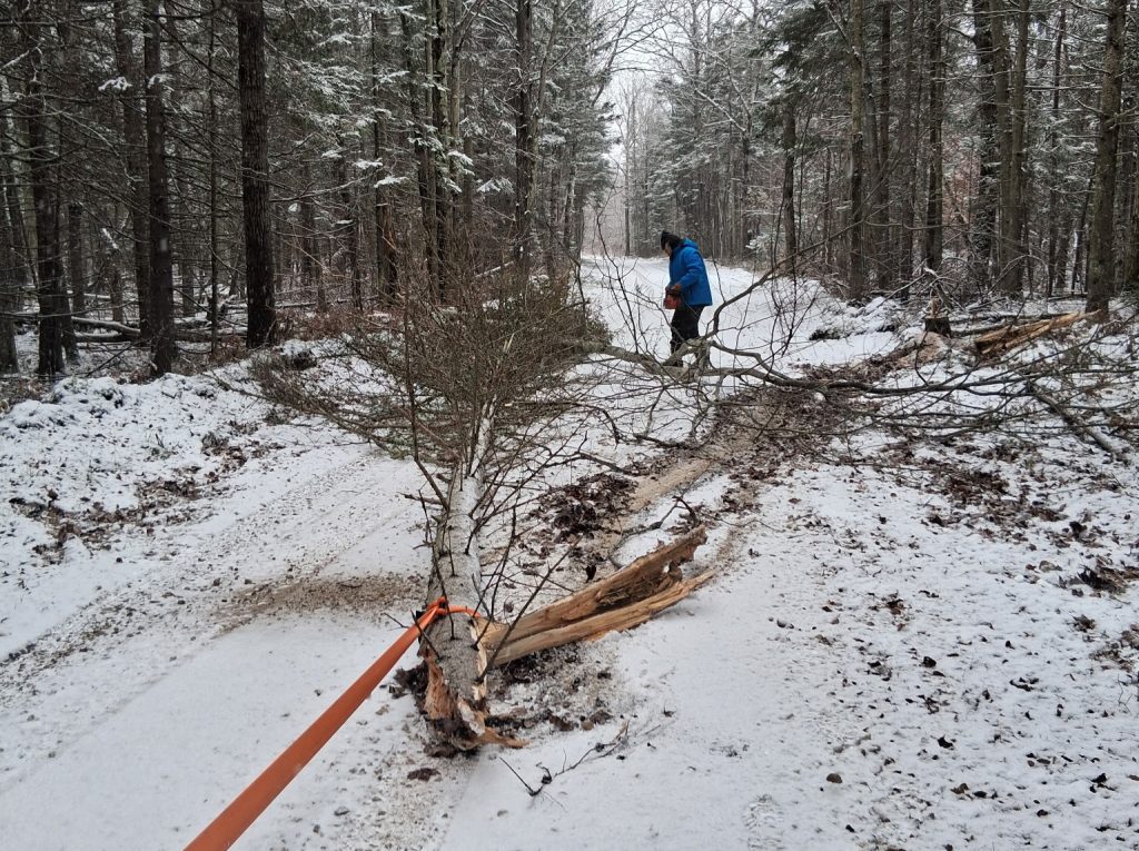 haywirecleanup oct25